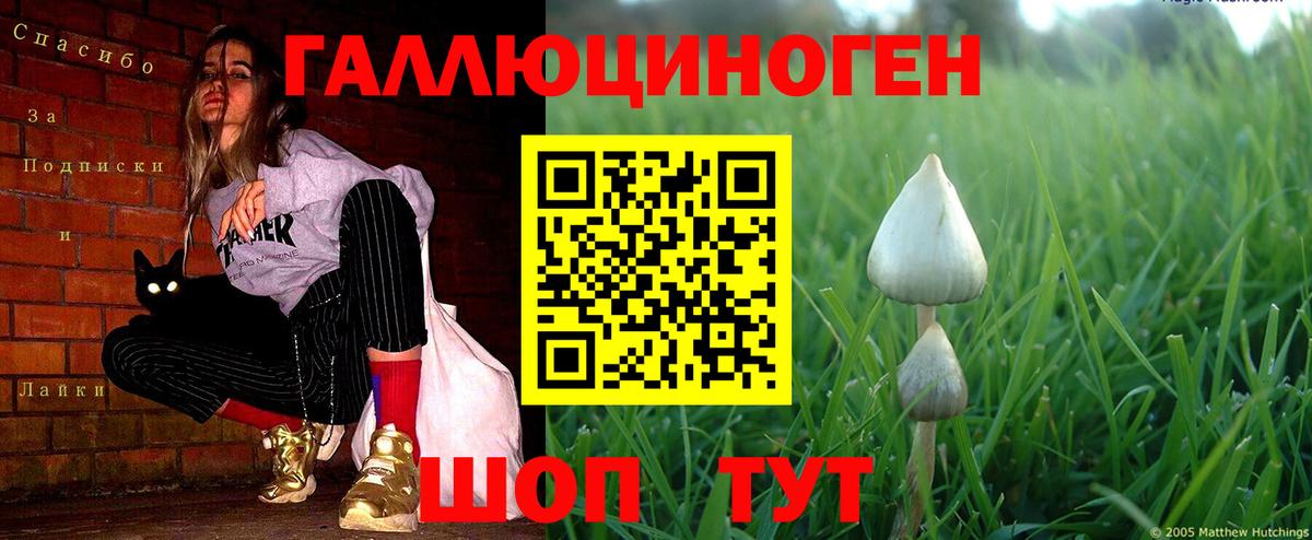 Галлюциногенные грибы мухоморы Скопин